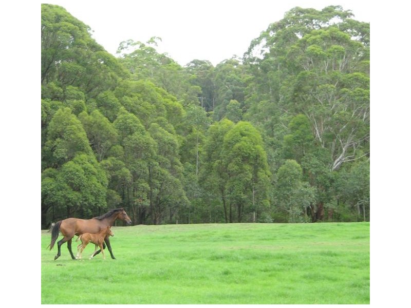 Mount Vincent NSW 2323