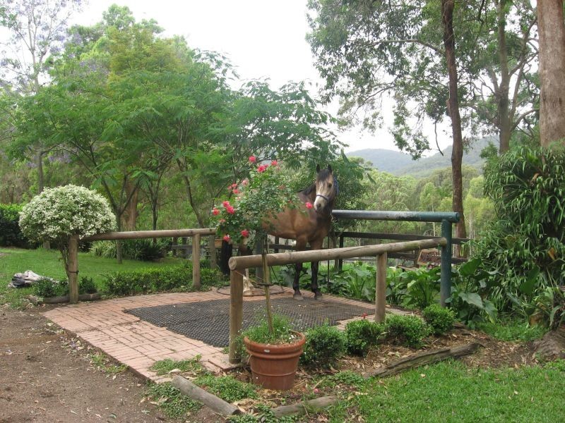 Mount Vincent NSW 2323