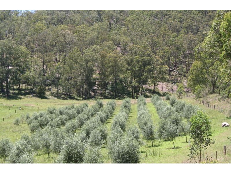 392  Narone Creek Road, Wollombi NSW 2325