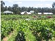 Pokolbin NSW 2320