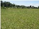 Pokolbin NSW 2320