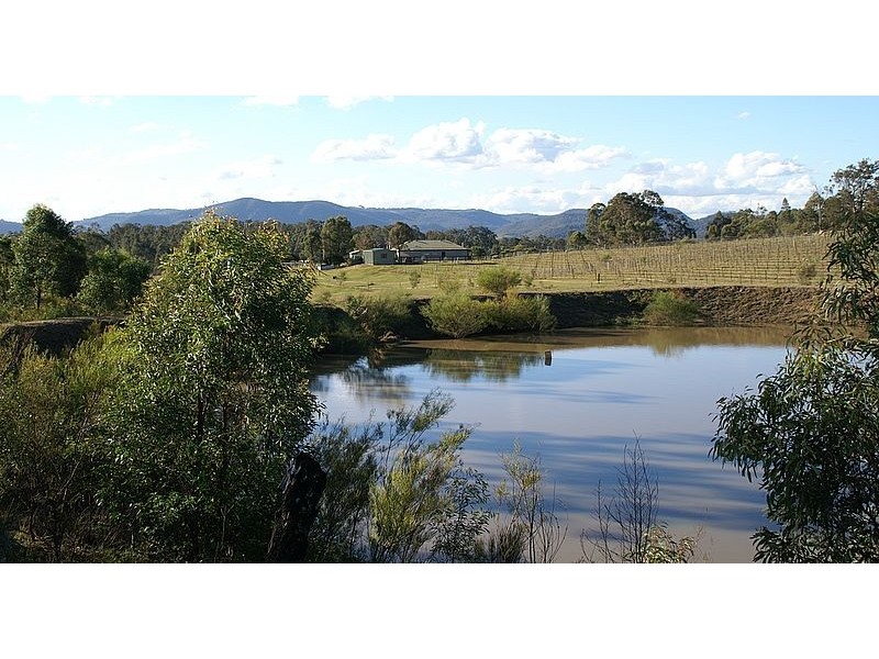 Branxton NSW 2335