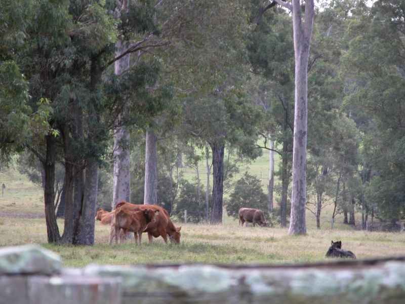 Wirrimbirra, 32 Elrington Drive, Elrington NSW 2325