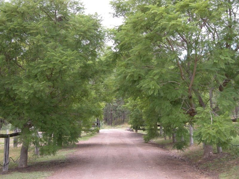 Wirrimbirra, 32 Elrington Drive, Elrington NSW 2325