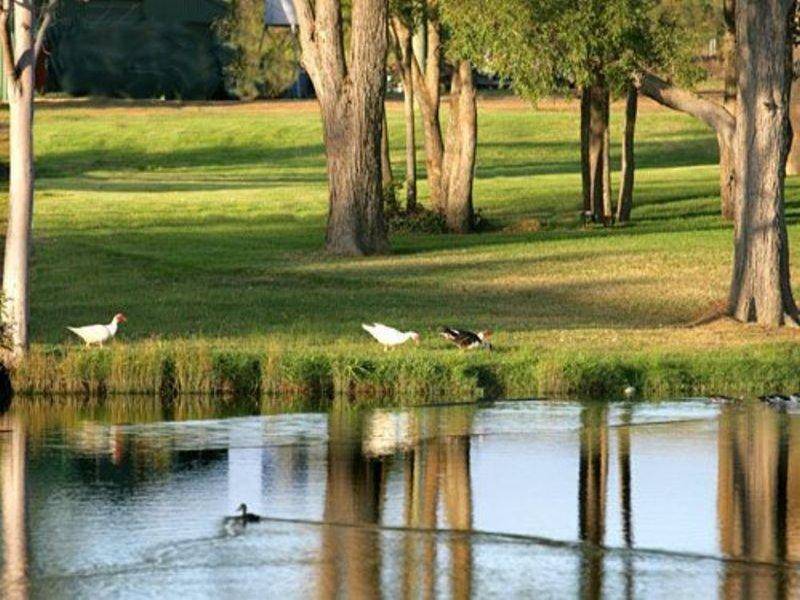 Lovedale NSW 2325