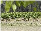 Lovedale NSW 2325