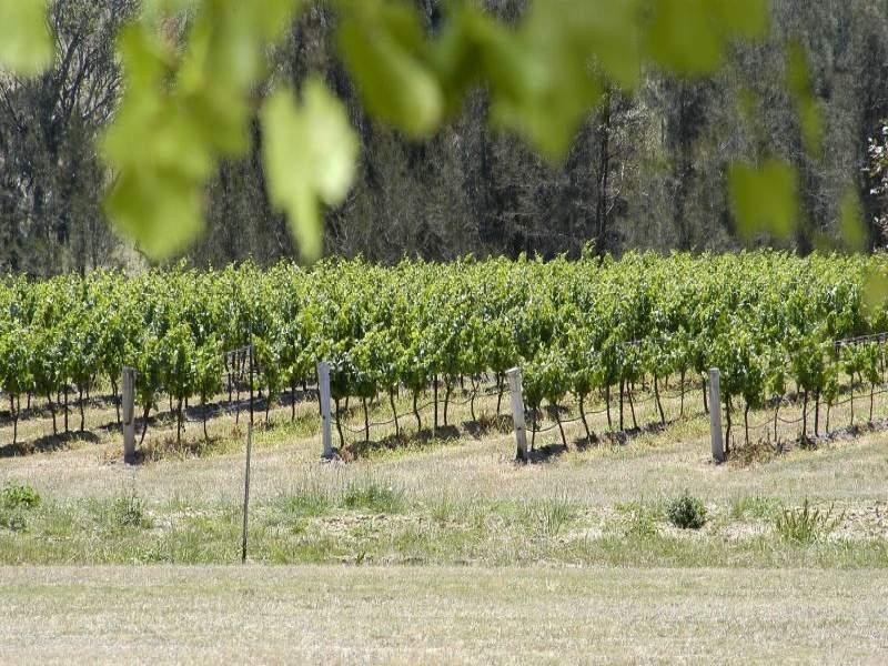 Lovedale NSW 2325