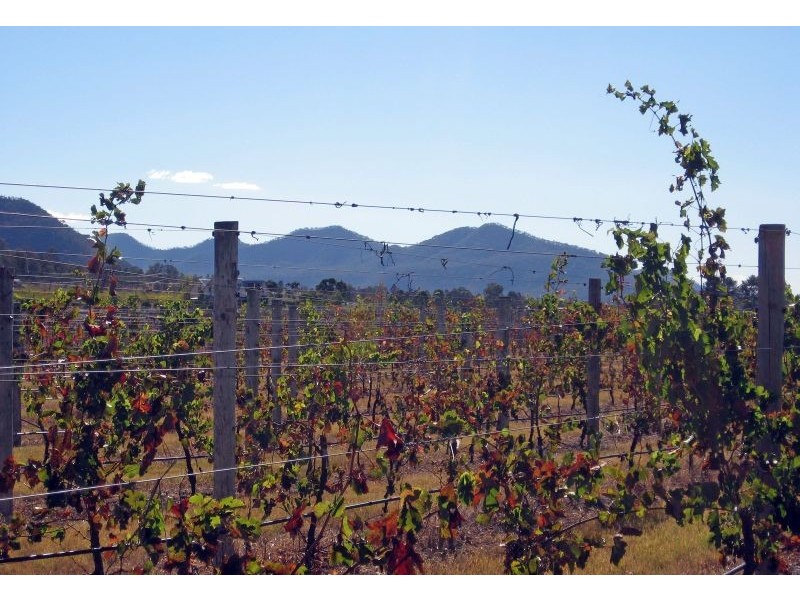 Boatshed Vineyard, Milbrodale Road, Broke NSW 2330