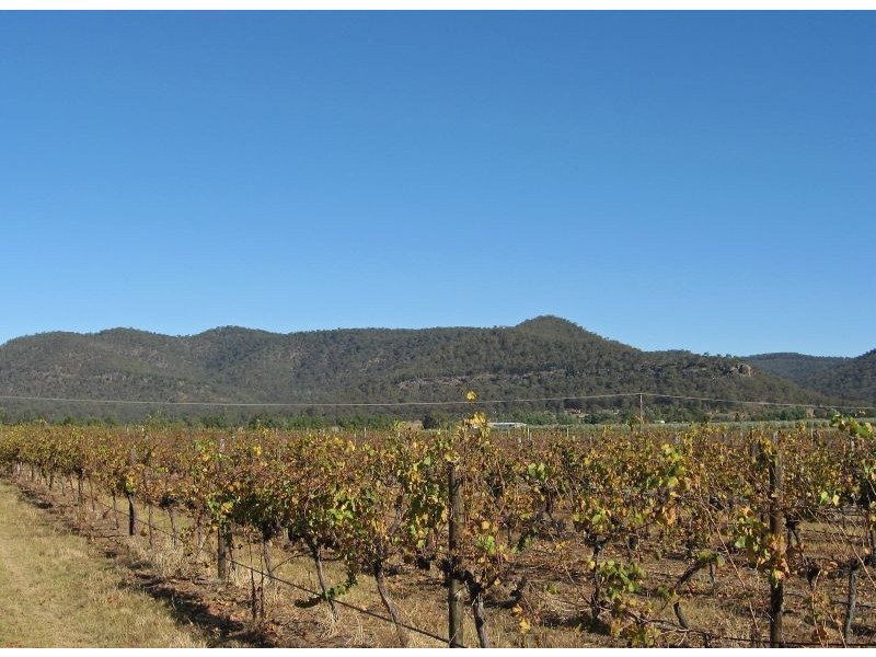 Boatshed Vineyard, Milbrodale Road, Broke NSW 2330