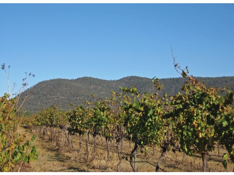 Boatshed Vineyard, Milbrodale Road, Broke NSW 2330