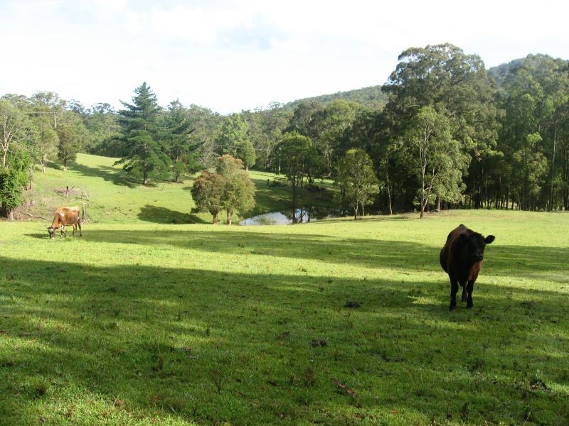 Brunkerville NSW 2323