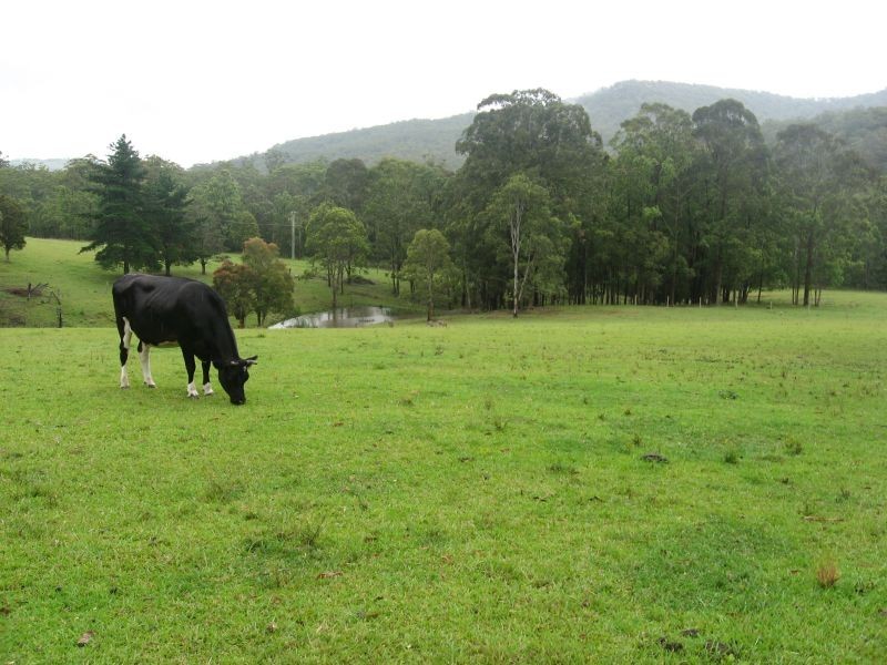 Brunkerville NSW 2323