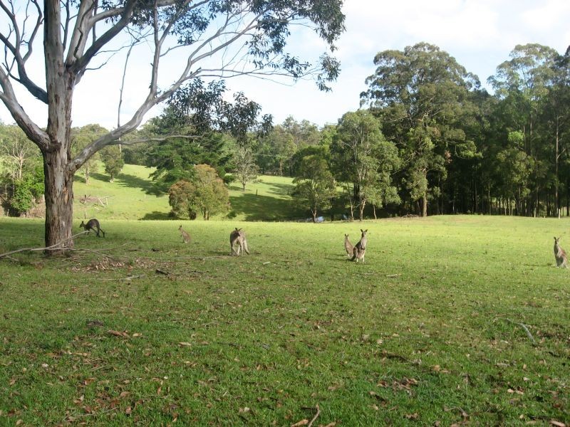 Brunkerville NSW 2323