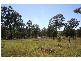 Allandale NSW 2320