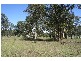 Allandale NSW 2320