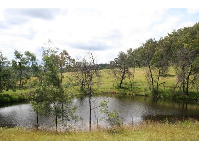 Laguna NSW 2325