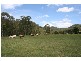 Laguna NSW 2325