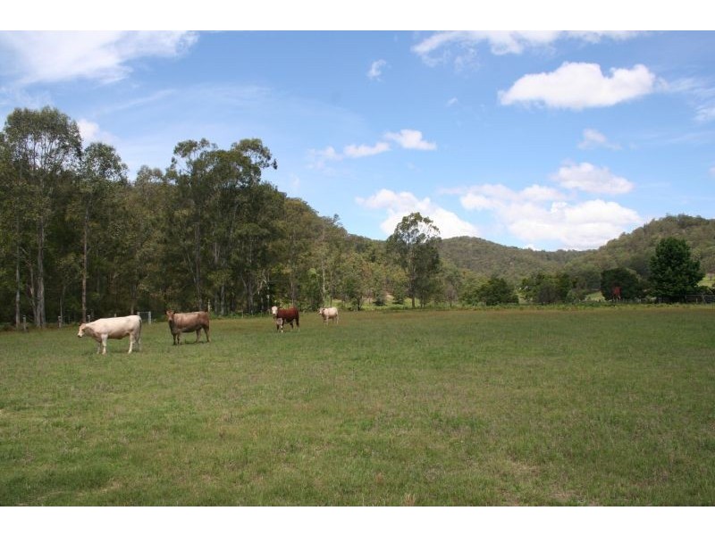 Laguna NSW 2325