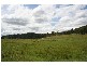 Laguna NSW 2325