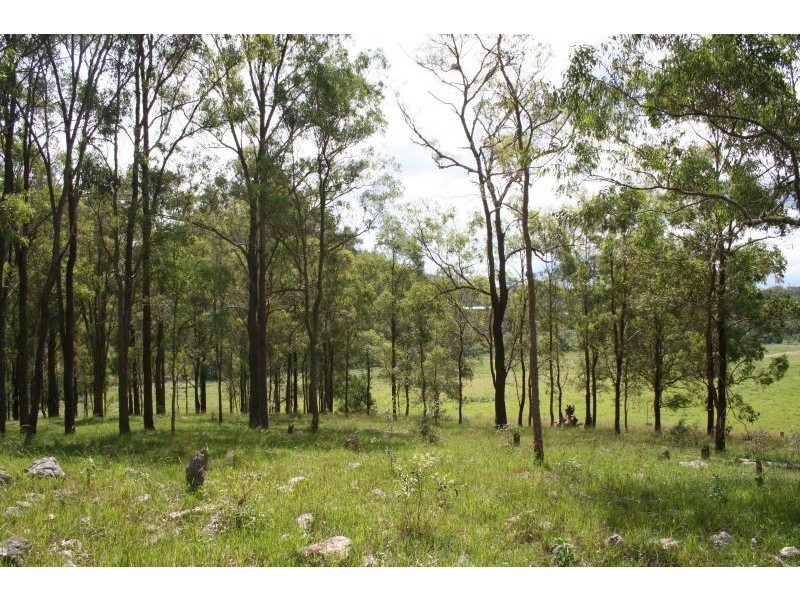 Laguna NSW 2325