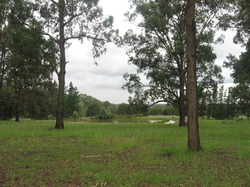 Lovedale NSW 2325