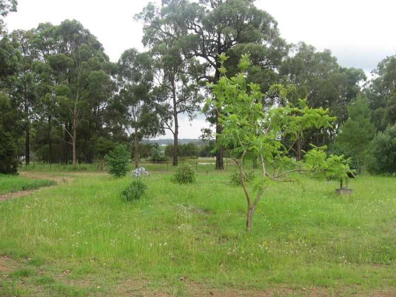 Lovedale NSW 2325