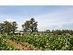 64 Majors Lane, Lovedale NSW 2325