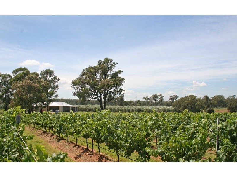 64 Majors Lane, Lovedale NSW 2325