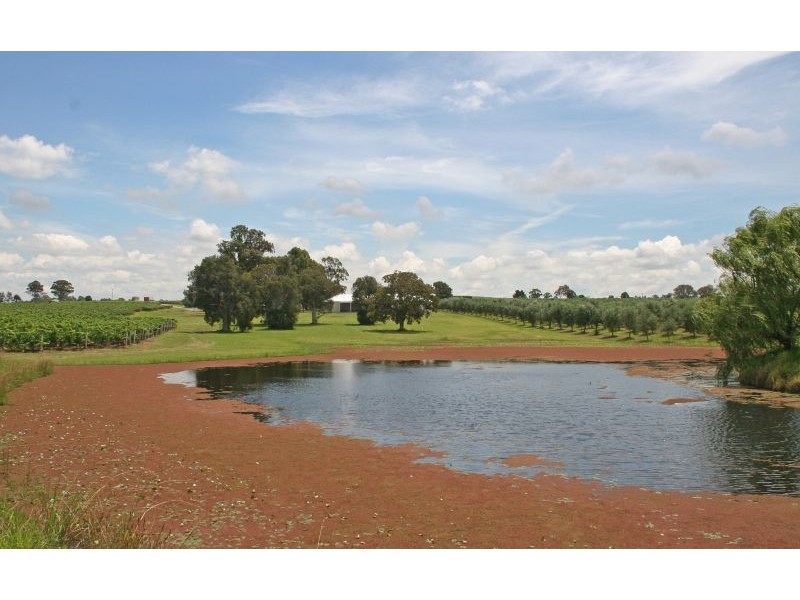 64 Majors Lane, Lovedale NSW 2325