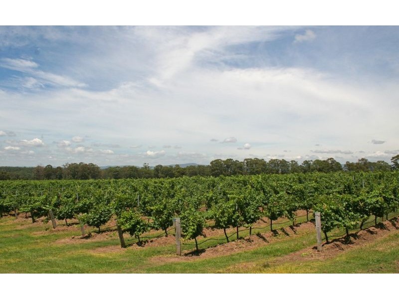 64 Majors Lane, Lovedale NSW 2325