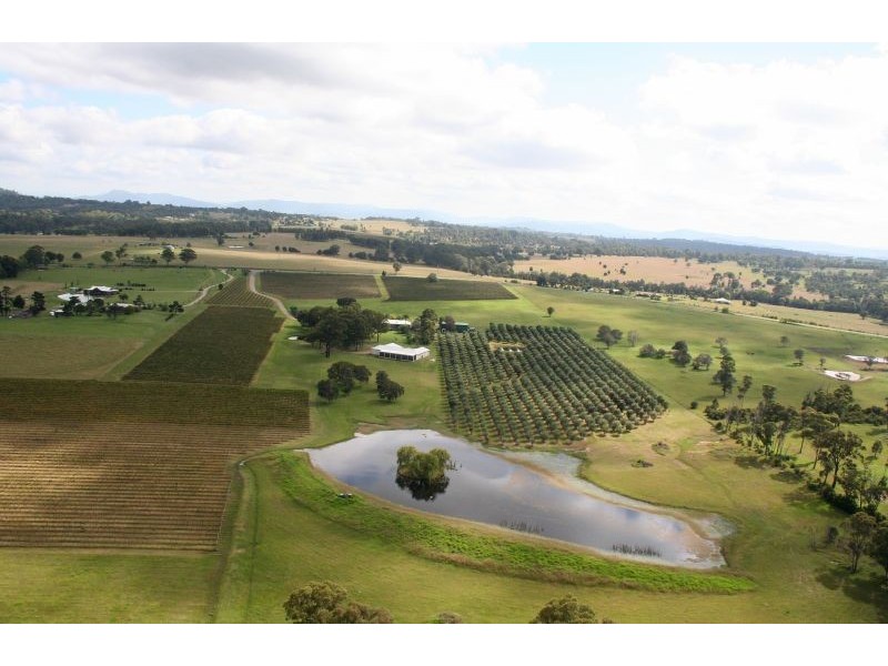 64 Majors Lane, Lovedale NSW 2325