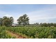 64 Majors Lane, Lovedale NSW 2325