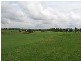 Pokolbin NSW 2320