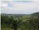 Paterson NSW 2421