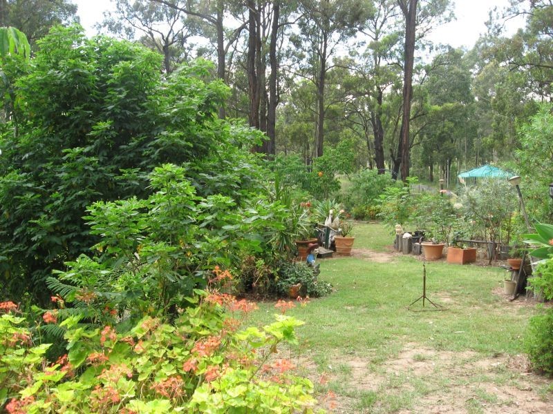 Branxton NSW 2335