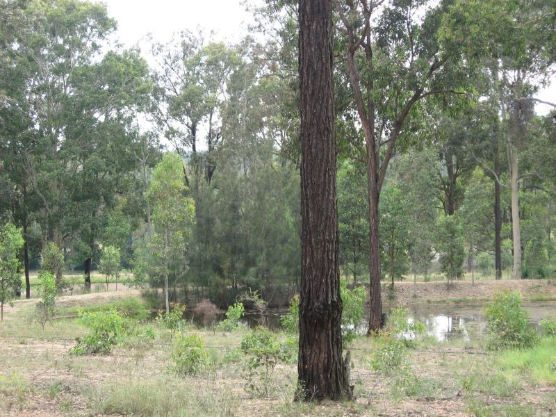 Branxton NSW 2335