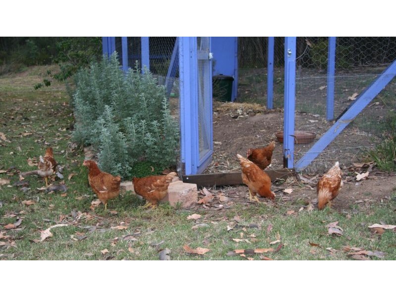 72 Gillards Lane, Pokolbin NSW 2320