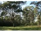72 Gillards Lane, Pokolbin NSW 2320