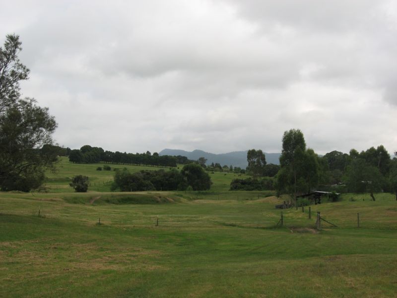 Branxton NSW 2335