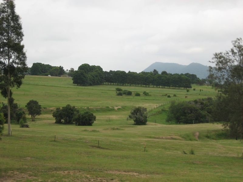 Branxton NSW 2335