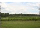 Pokolbin NSW 2320