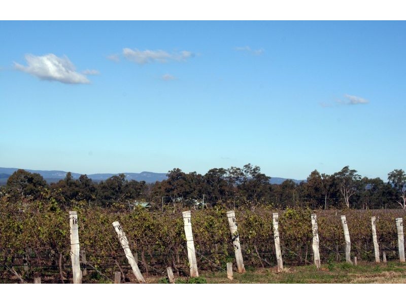 BANK  SAYS YOU MUST SELL NOW, Pokolbin NSW 2320