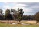 BANK  SAYS YOU MUST SELL NOW, Pokolbin NSW 2320