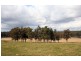 BANK  SAYS YOU MUST SELL NOW, Pokolbin NSW 2320