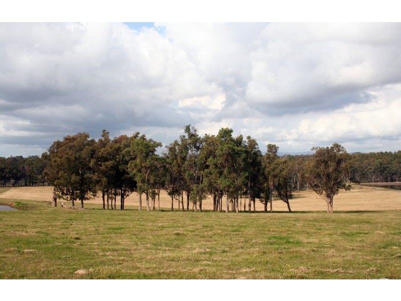 BANK  SAYS YOU MUST SELL NOW, Pokolbin NSW 2320