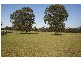 Kitchener NSW 2325