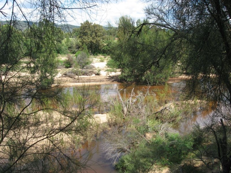 Broke NSW 2330