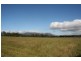 Pokolbin NSW 2320
