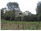 Pokolbin NSW 2320