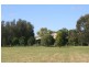 Pokolbin NSW 2320